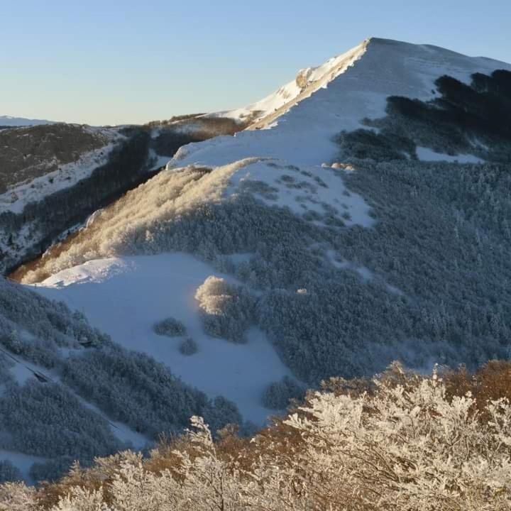 Villard De Lans מראה חיצוני תמונה