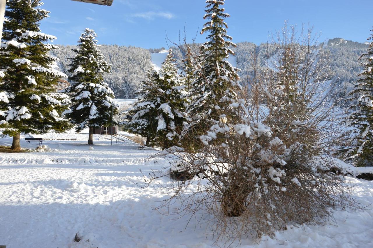 Villard De Lans מראה חיצוני תמונה